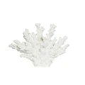 KORALOWIEC BIAŁY ANEMONE 26x6x18,5cm
