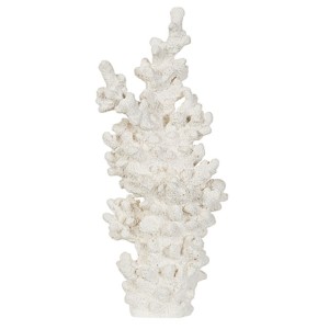 Koralowiec ozdobny Anemone No3  