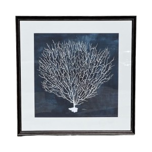 Obraz  koralowca w czarnej drewnianej ramie Corallo Negro NO 2 64X64CM (1)