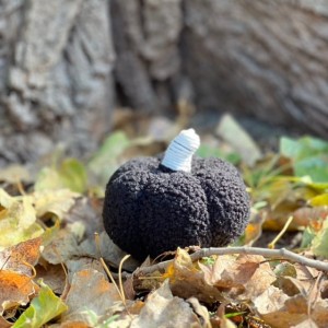 Poduszka dekoracyjna czarna dynia h9cm 