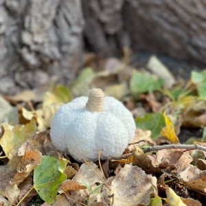 Poduszka dekoracyjna kremowa dynia h9cm