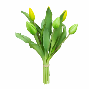 Bukiet siedmiu zielono żółtych tulipanów h 33cm  