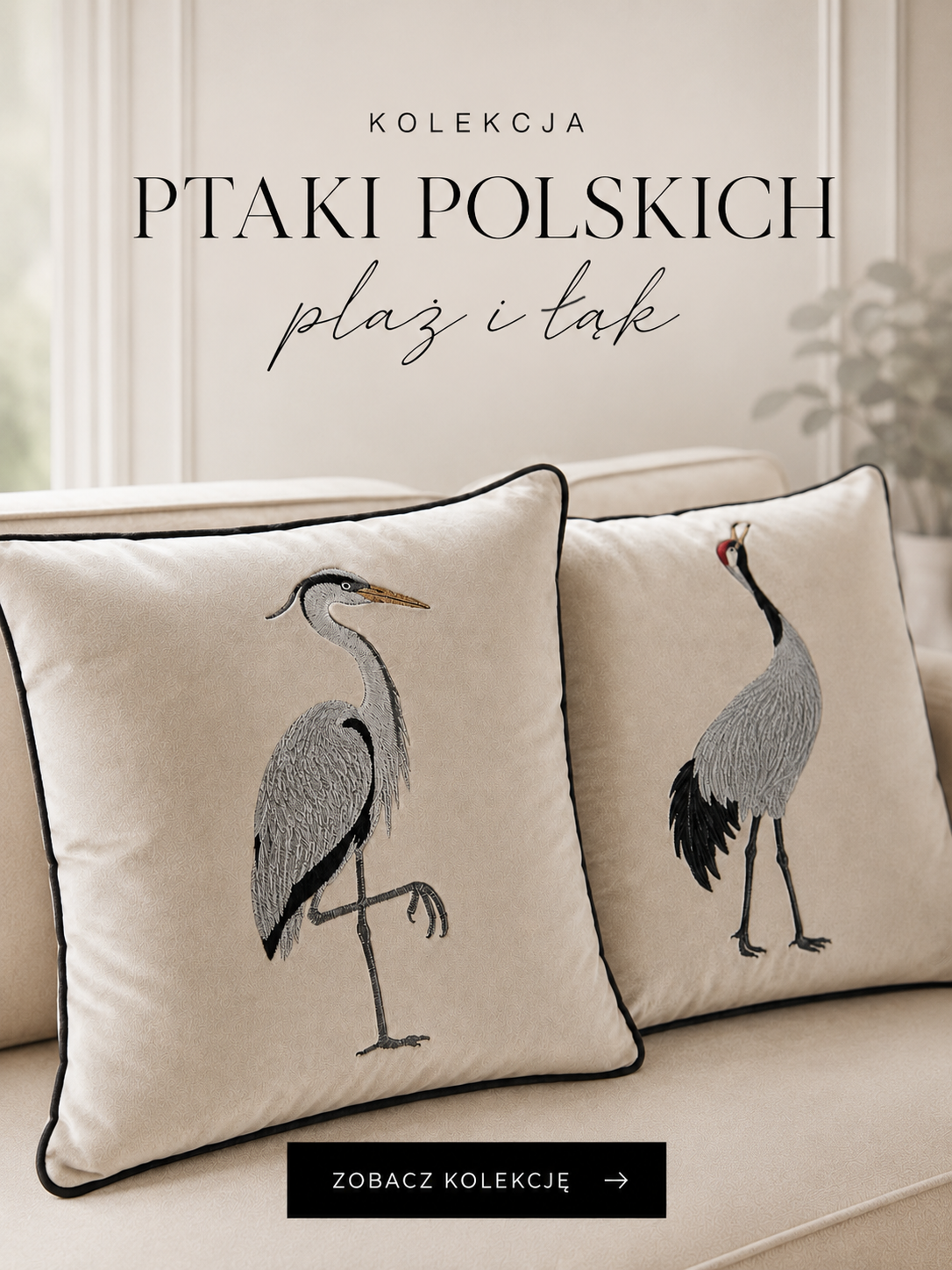 Kolekcja Ptaki polskich plaż i łąk